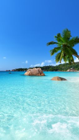 Anse Lazio, Praslin Island, Seychelles, Best beaches of 2016, Travellers Choice Awards 2016 (vertical)