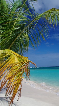 Flamenco Beach, Culebra, Puerto Rico, palms, Best beaches of 2016, Travellers Choice Awards 2016 (vertical)