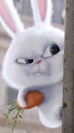 The Secret Life of Pets, rabbit, Best Animation Movies of 2016, cartoon (vertical)