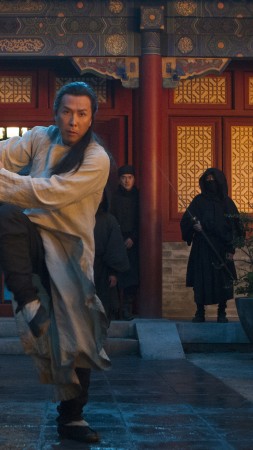 Crouching Tiger, Hidden Dragon: Sword of Destiny, Donnie Yen, best movies 2016 (vertical)