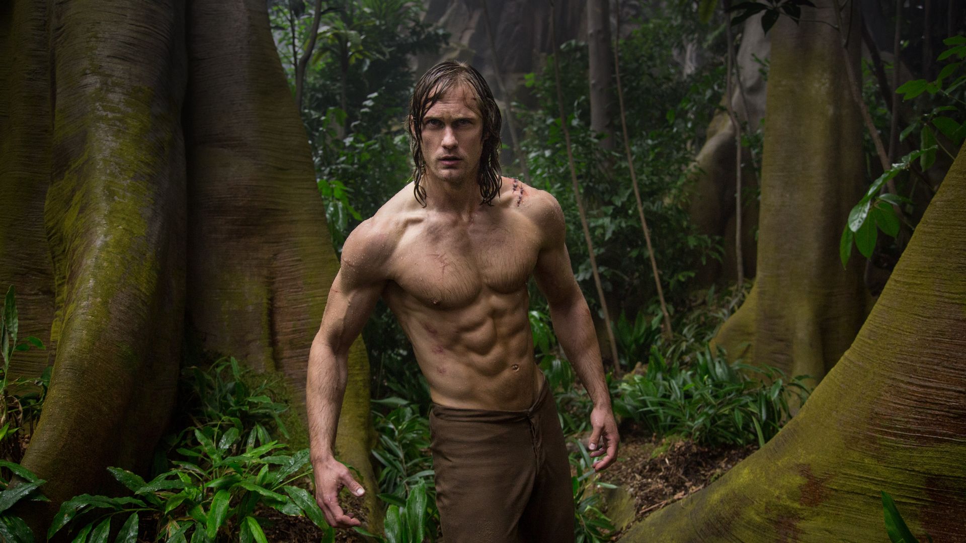 The Legend of Tarzan, Alexander Skarsgård, best movies 2016 (horizontal)