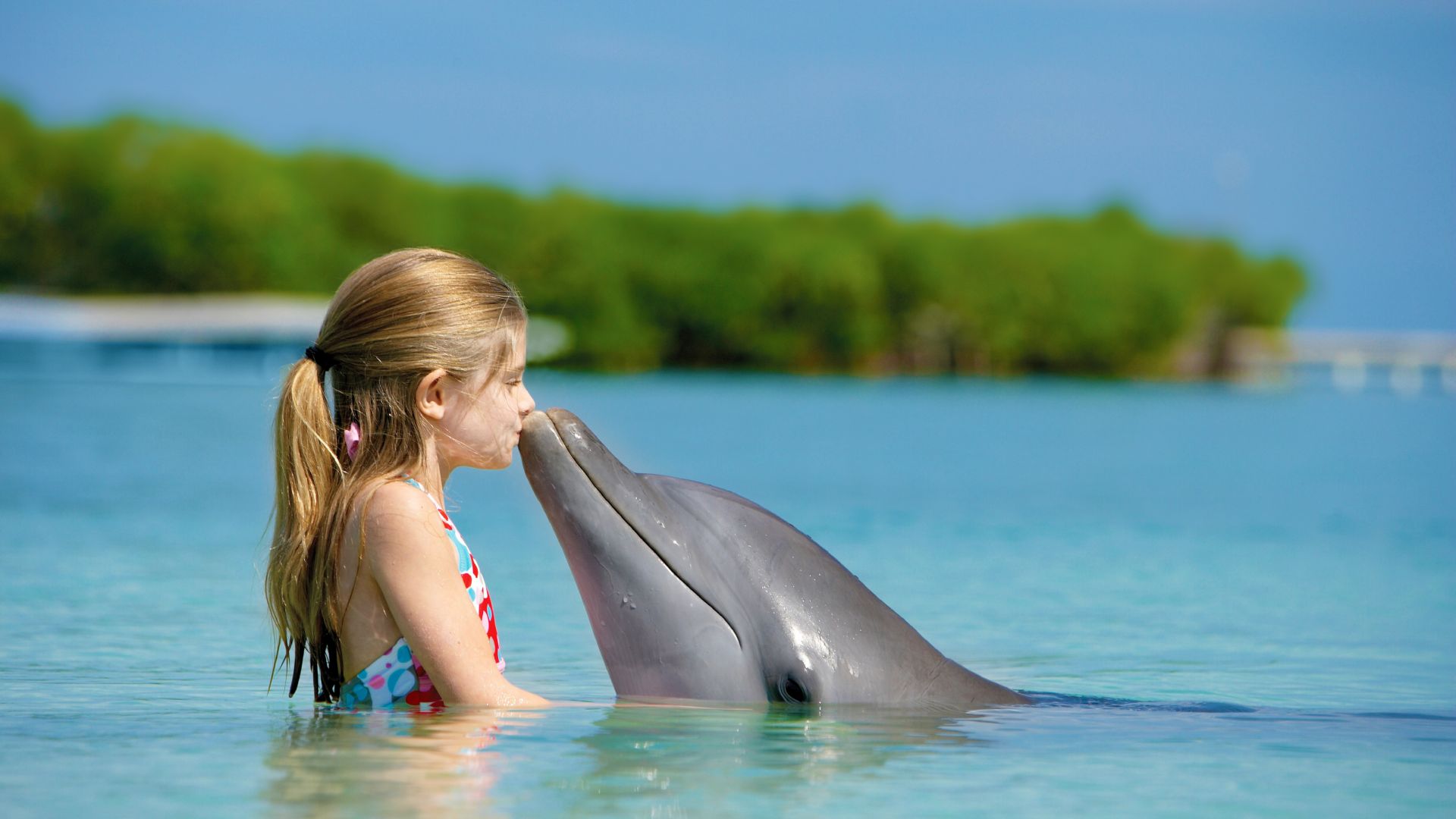 Girl and dolphin, ocean, Maldives (horizontal)