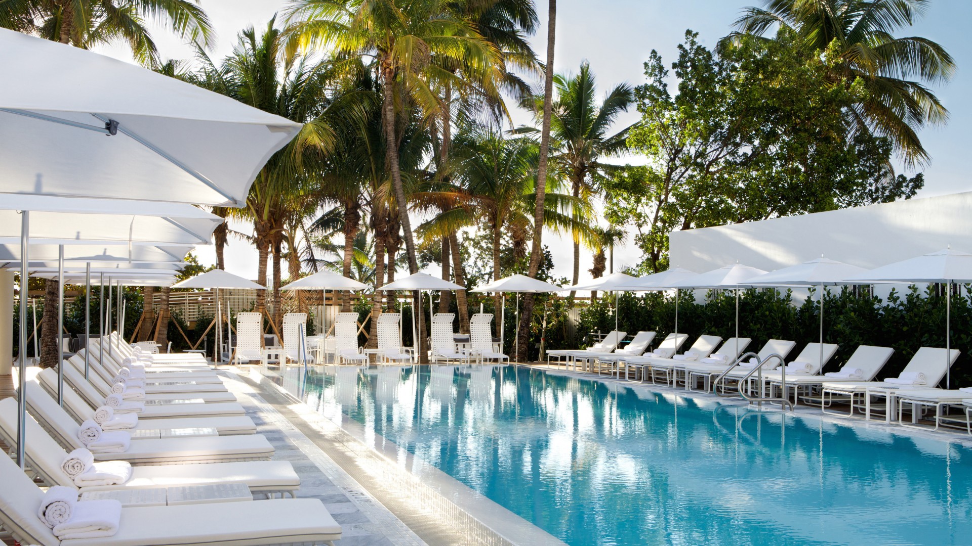 Metropolitan by COMO, Miami, hotel, pool, sunbed, water, palm, sky, travel, vacation, booking (horizontal)