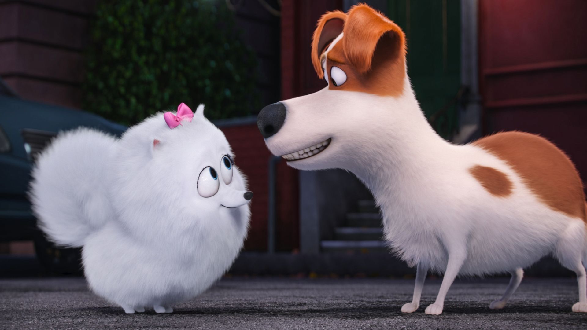 The Secret Life of Pets, dog, Best Animation Movies of 2016, cartoon (horizontal)