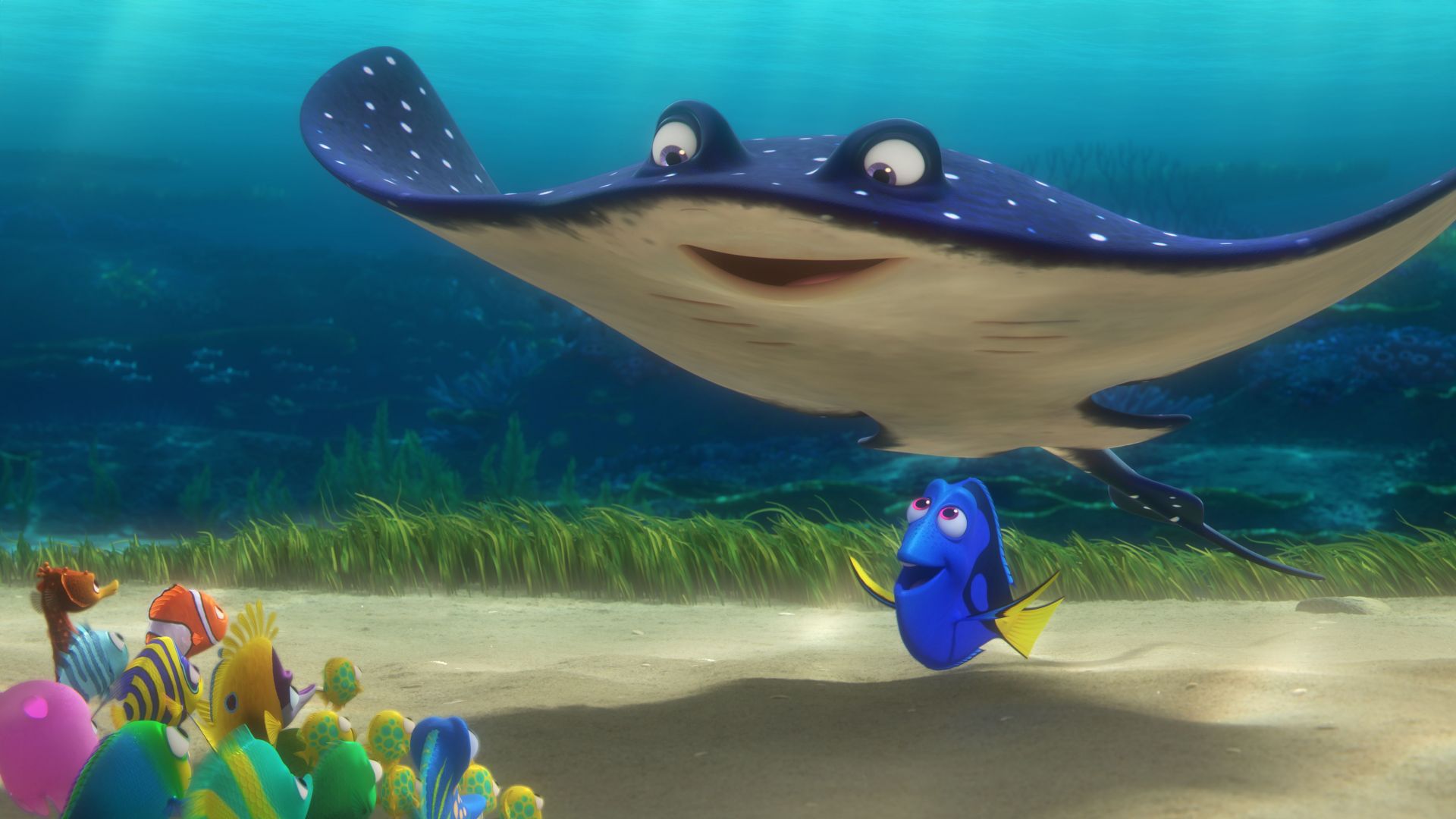 Finding Dory, nemo, ramp, fish, Pixar, animation (horizontal)