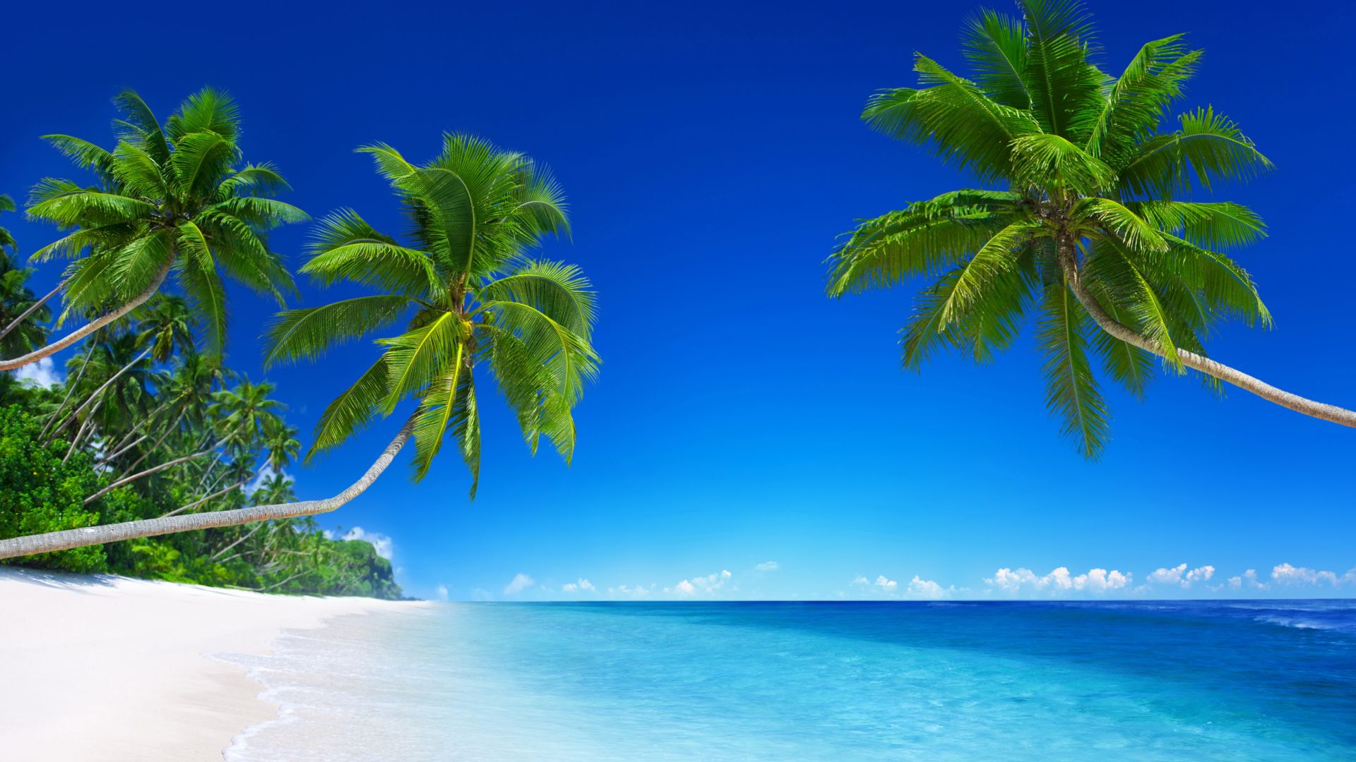 tropical beach, 5k, 4k wallpaper, 8k, paradise, palms, sea, blue (horizontal)