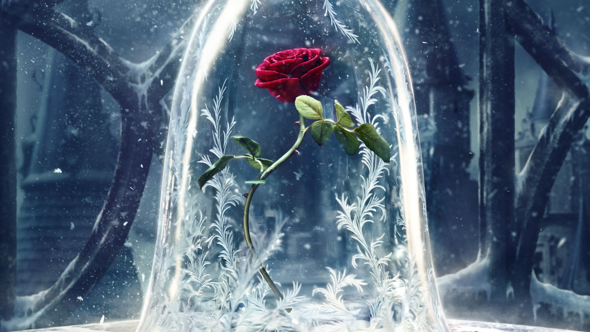 Beauty and the Beast, glass, rose, best movies (horizontal)