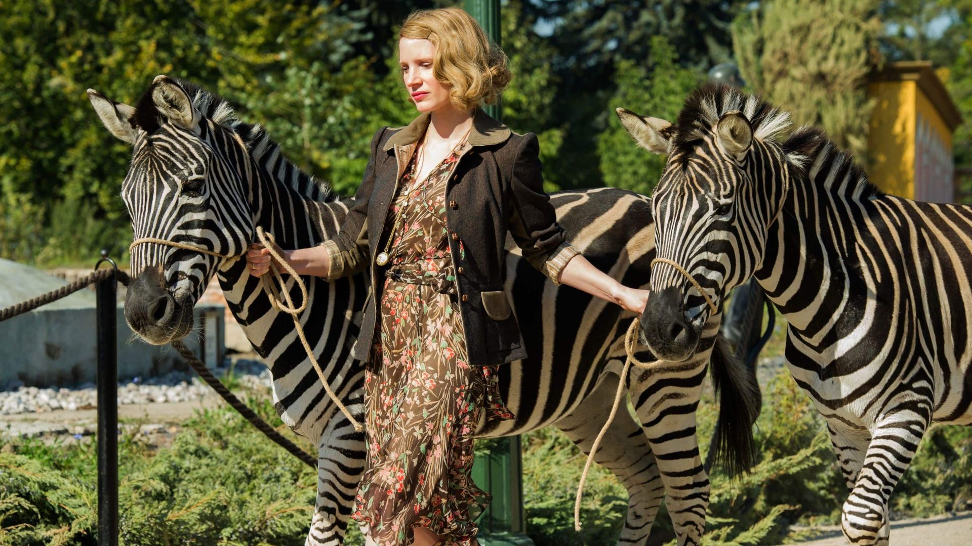 The Zookeeper's Wife, Jessica Chastain, zebra, best movies (horizontal)