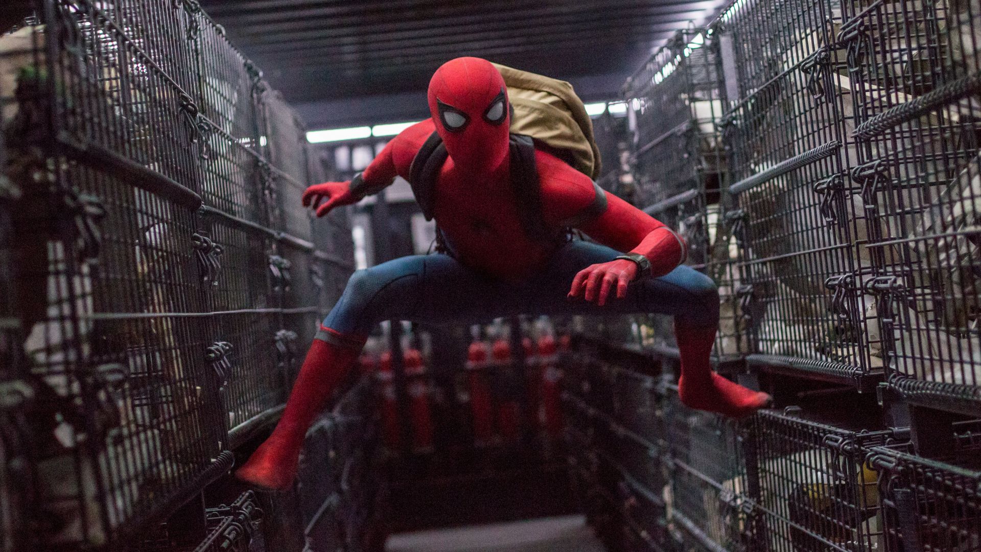 Spider-Man: Homecoming, 4k, 8k, Tom Holland, Marvel (horizontal)
