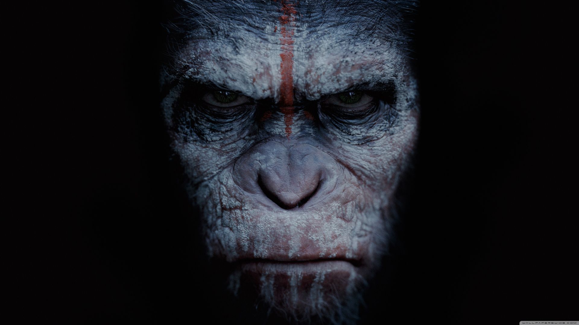 War for the Planet of the Apes, 4k (horizontal)