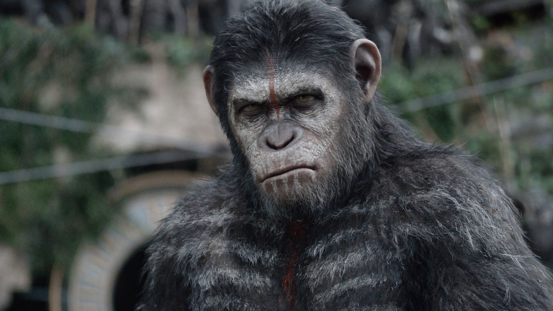 War for the Planet of the Apes, 4k, 5k (horizontal)