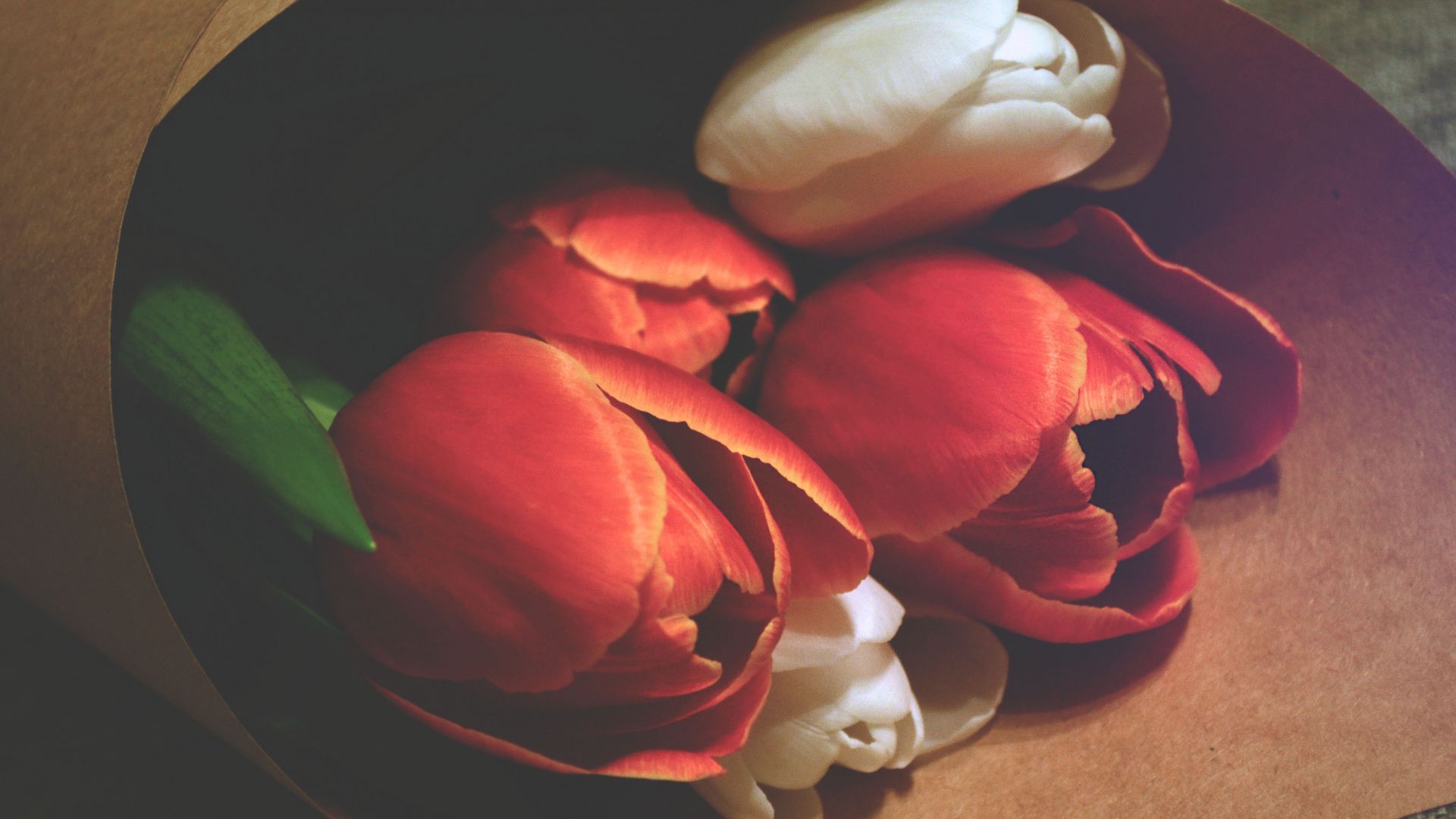 love image, tulips, 4k (horizontal)