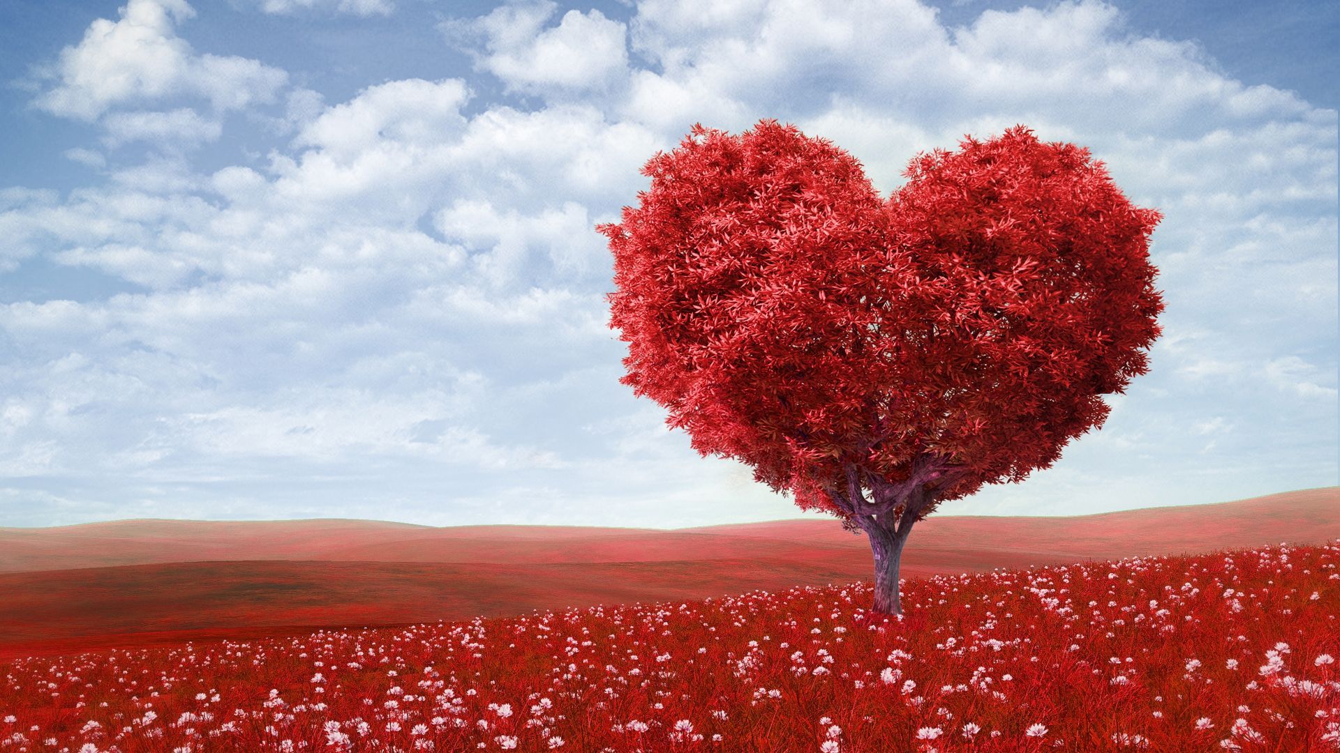 love image, heart, 4k, tree (horizontal)