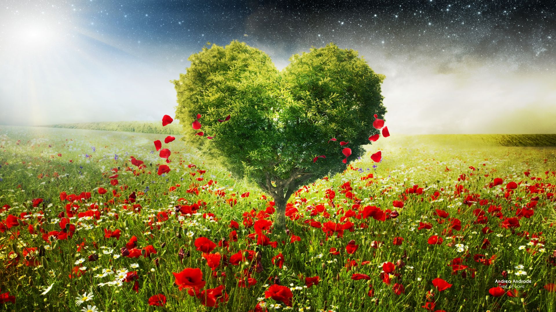 love image, heart, HD, tree (horizontal)