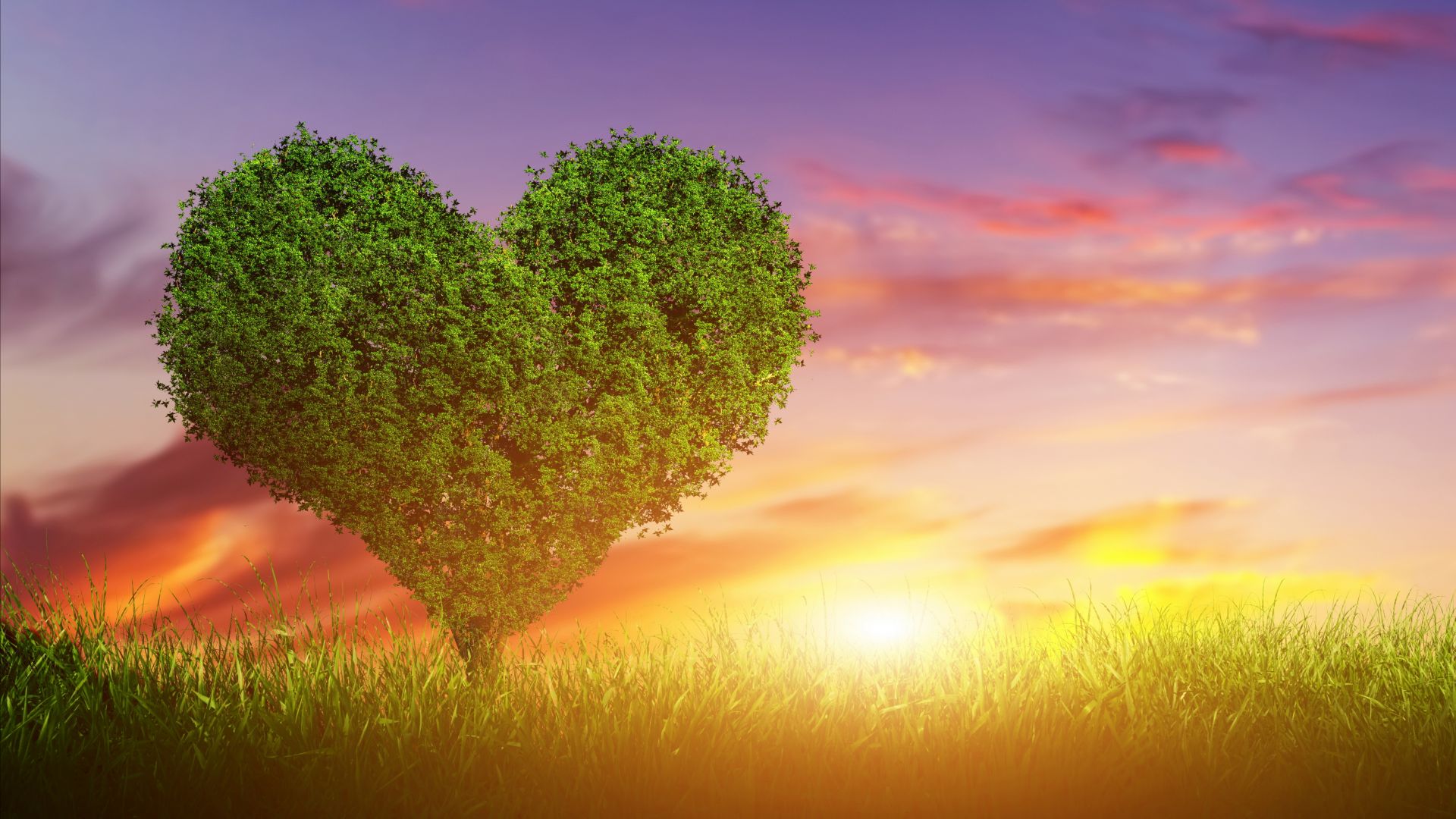 love image, heart, tree, 5k (horizontal)