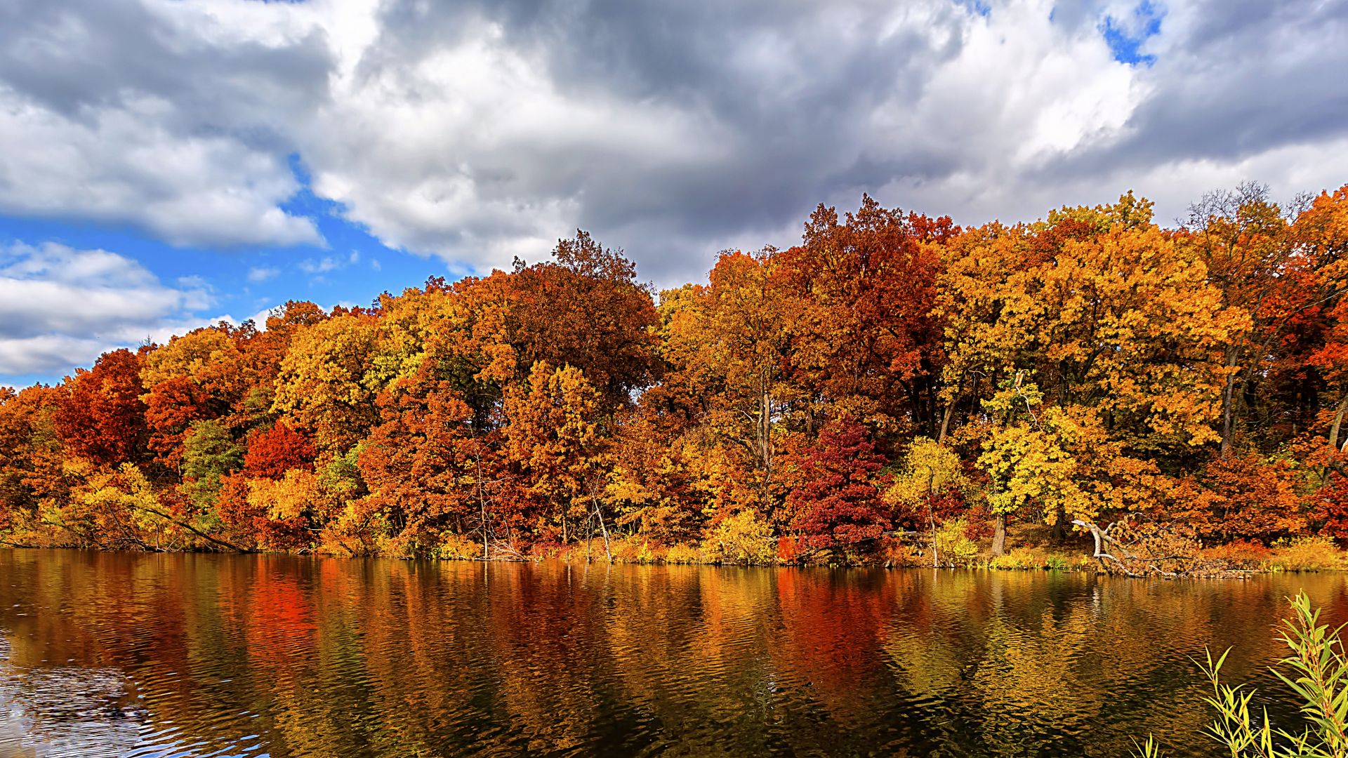 autumn, forest, lake, 5k (horizontal)