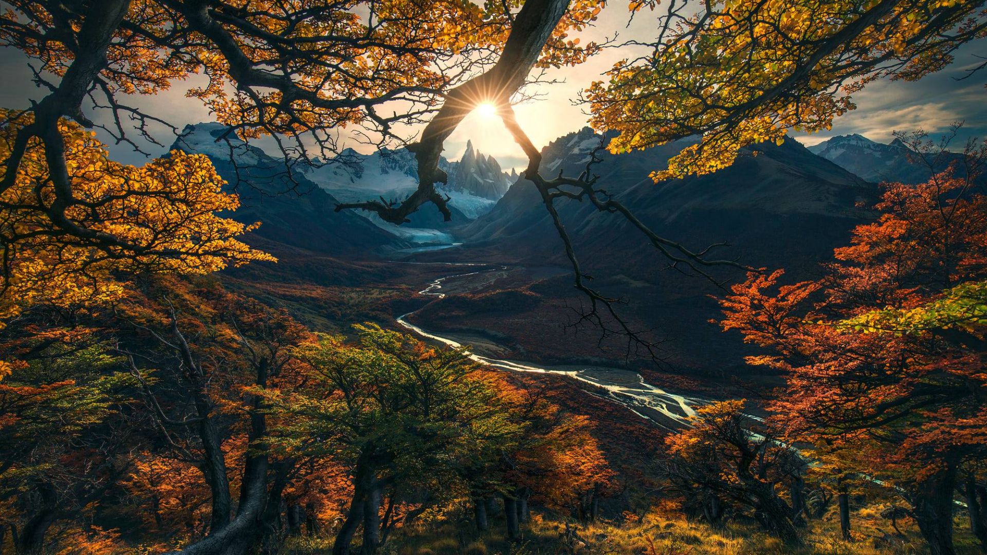 forest, tree, mountains, autumn, HD (horizontal)
