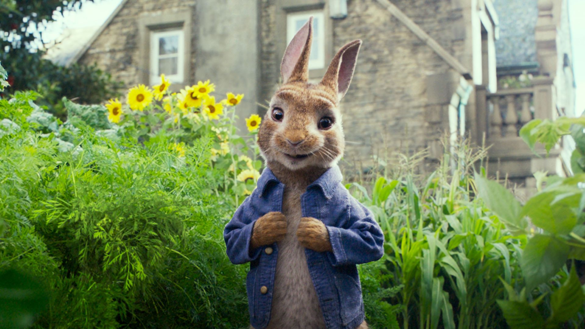Peter Rabbit, 4k (horizontal)