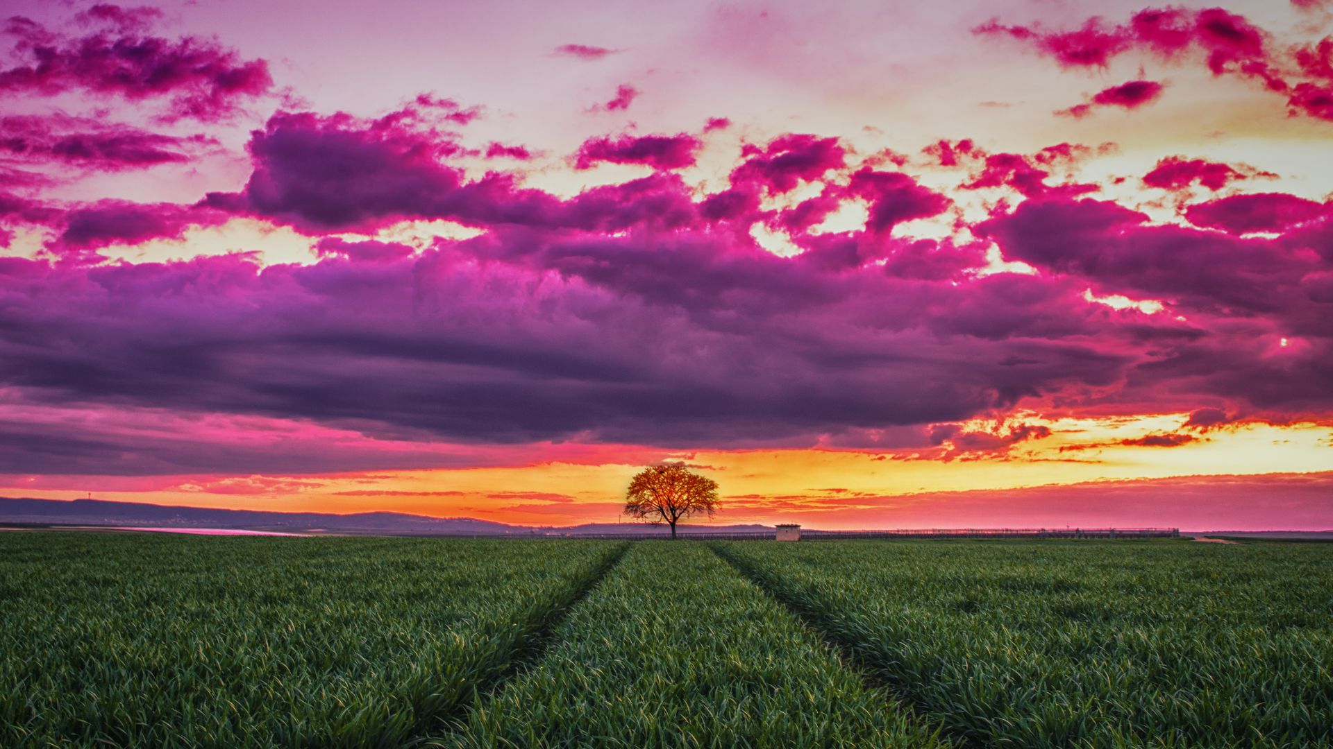 sunset, field, grass, sky, clouds, 4k (horizontal)