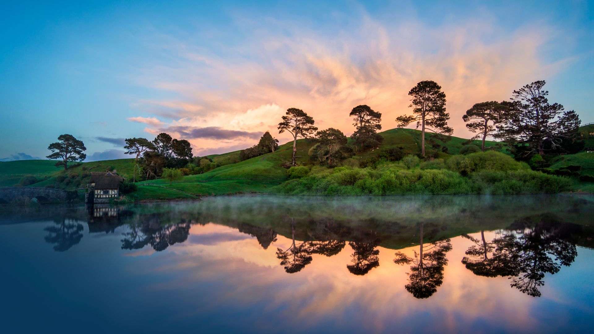 New Zealand, river, trees, 5k (horizontal)