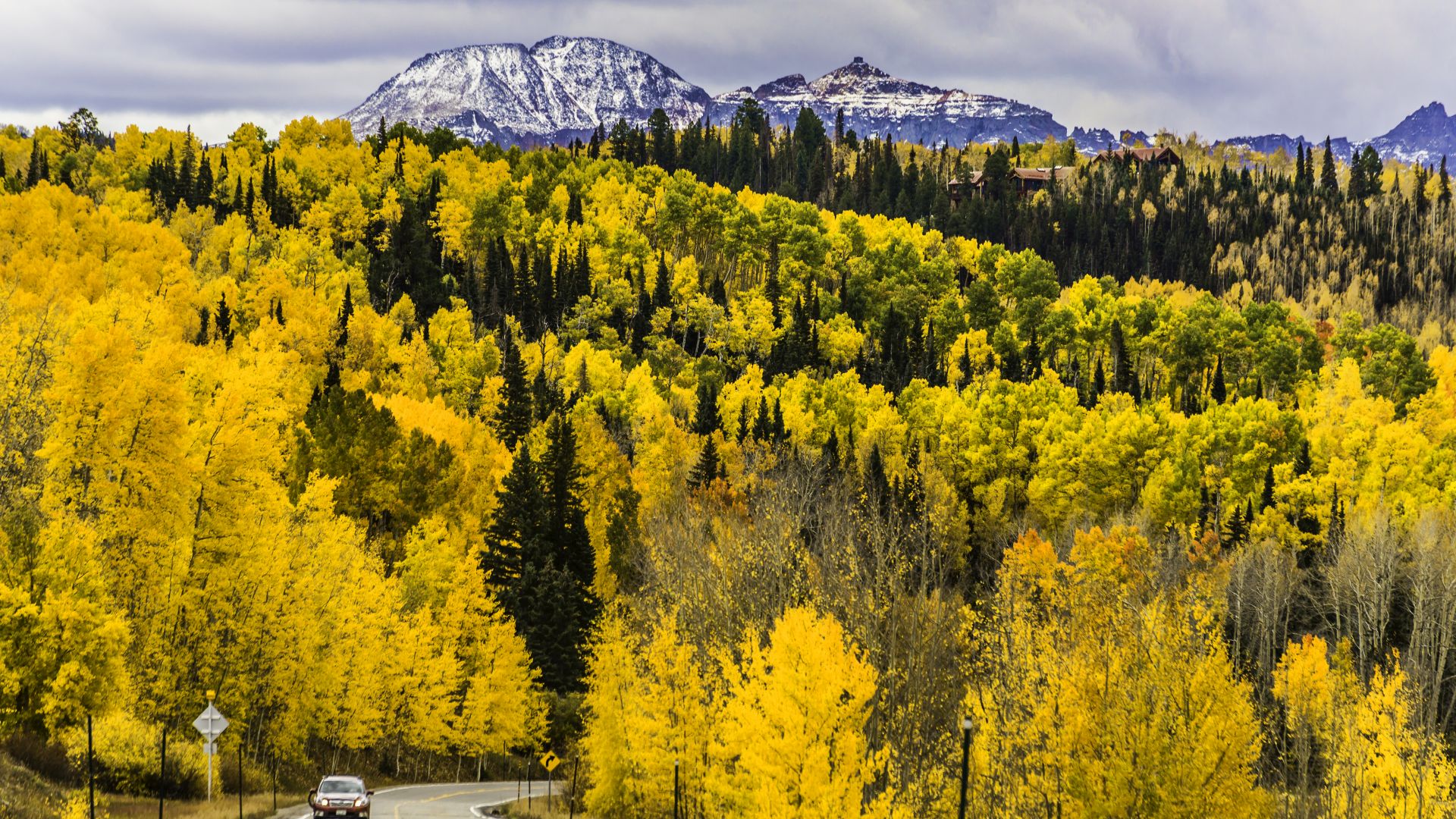 autumn, forest, trees, mountains, road, Colorado, USA, 5k (horizontal)