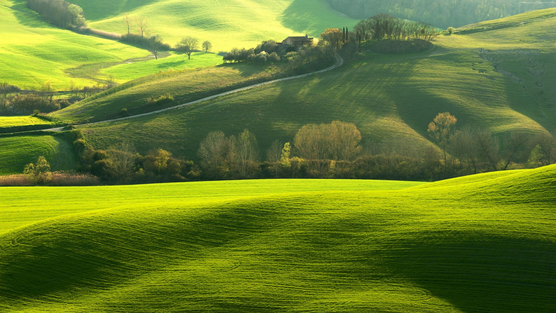 Tuscany, Italy, Europe, hills, green, field, 4K (horizontal)