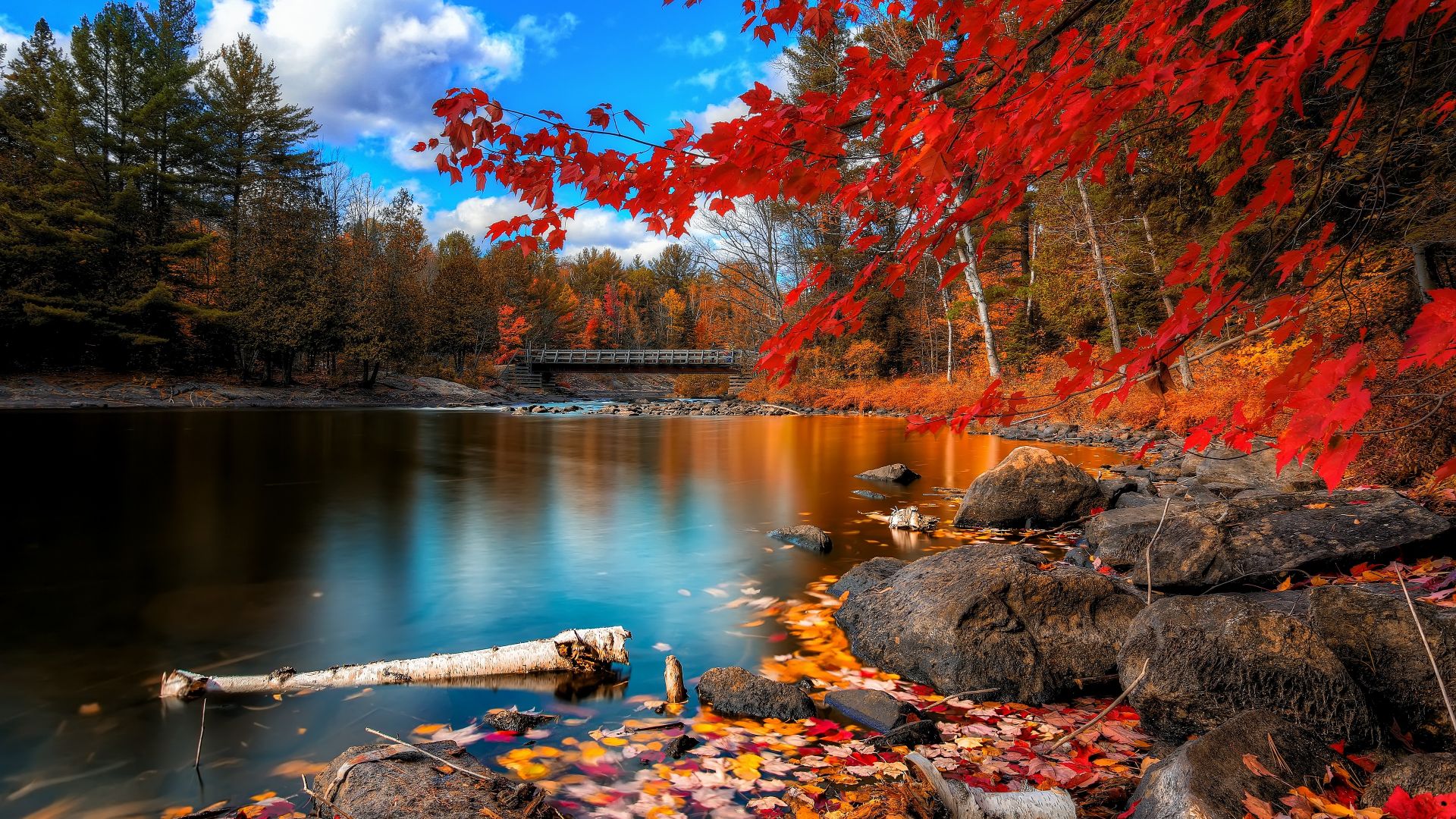 Autumn, lake, forest, 4k (horizontal)