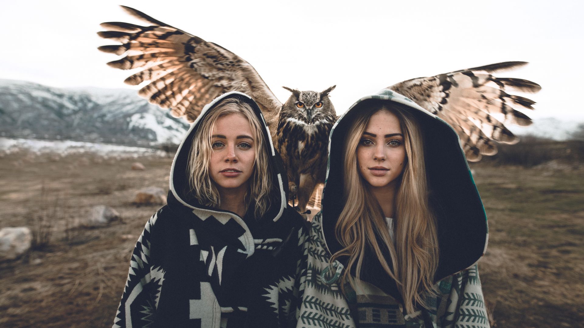 girls, owl, 8k (horizontal)