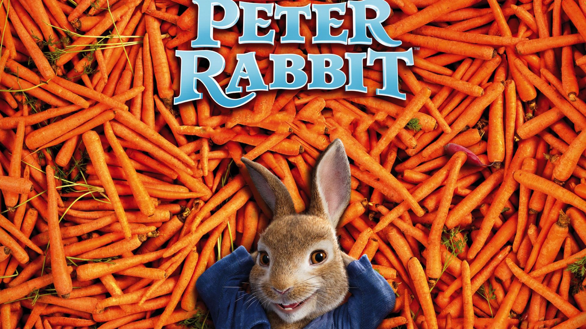 Peter Rabbit, carrot, 4k (horizontal)