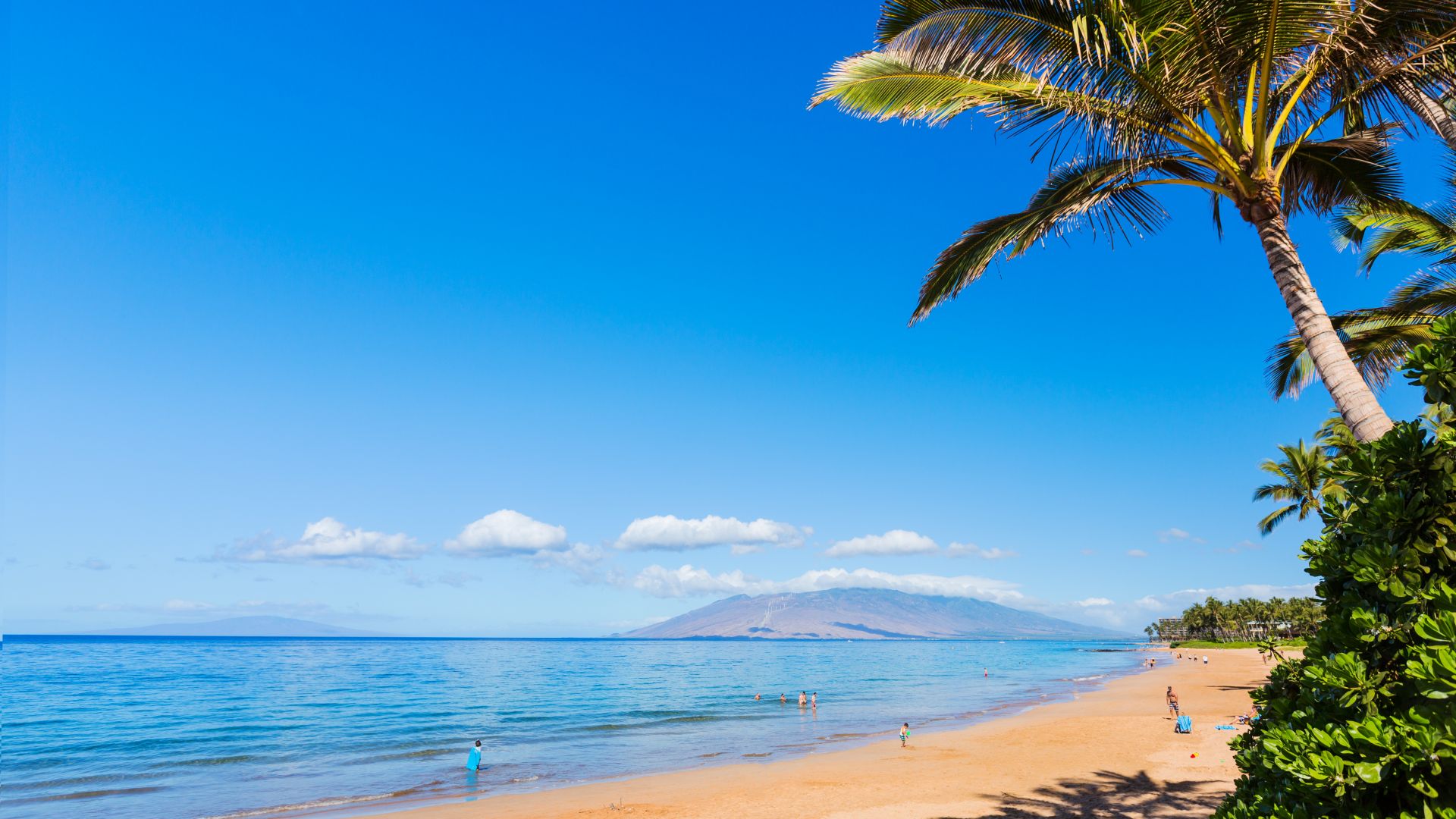Maui, Hawaii, beach, ocean, coast, palm, sky, 5k (horizontal)