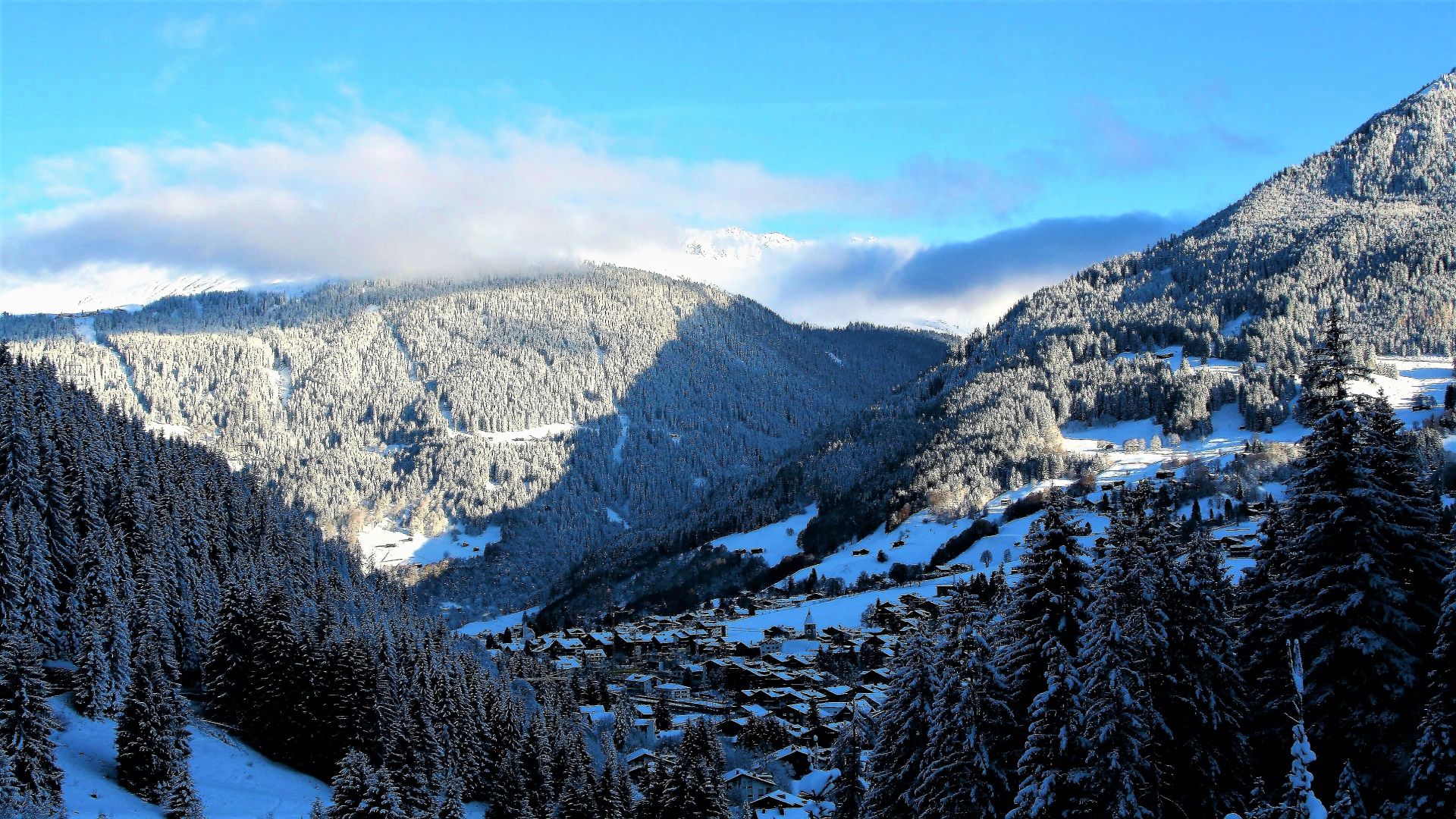 mountains, snow, winter, forest, 4k (horizontal)