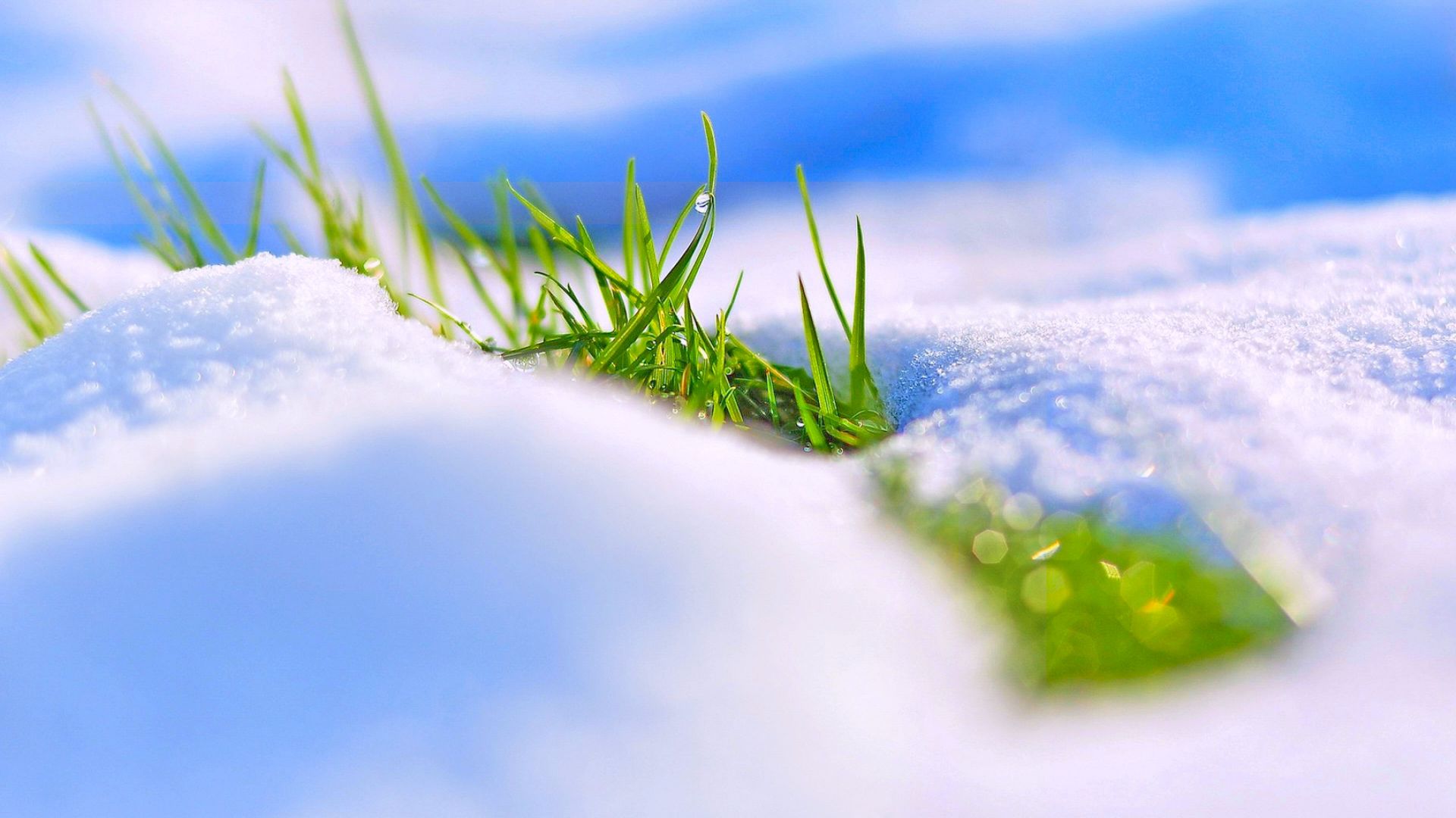 snow, winter, grass, 4k (horizontal)