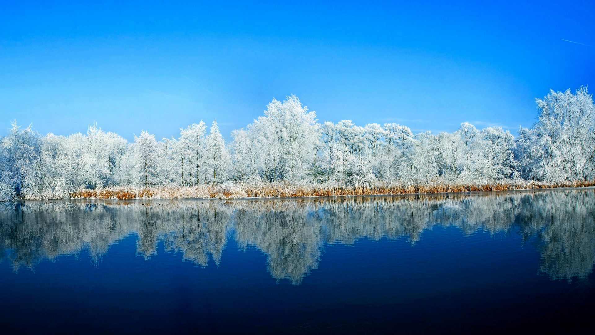 lake, forest, snow, winter, 5k (horizontal)
