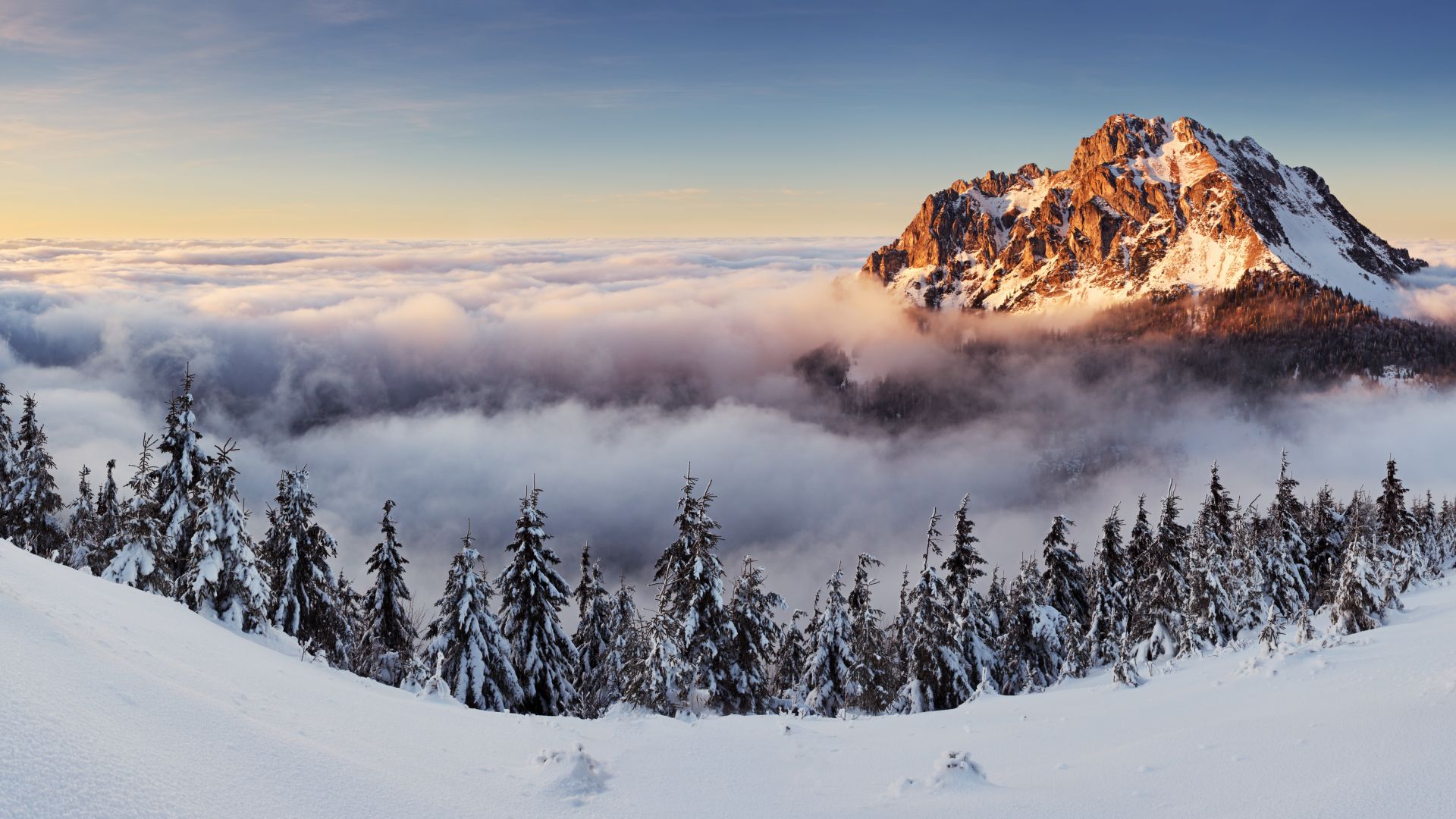 mountains, forest, snow, winter, fog, 8k (horizontal)