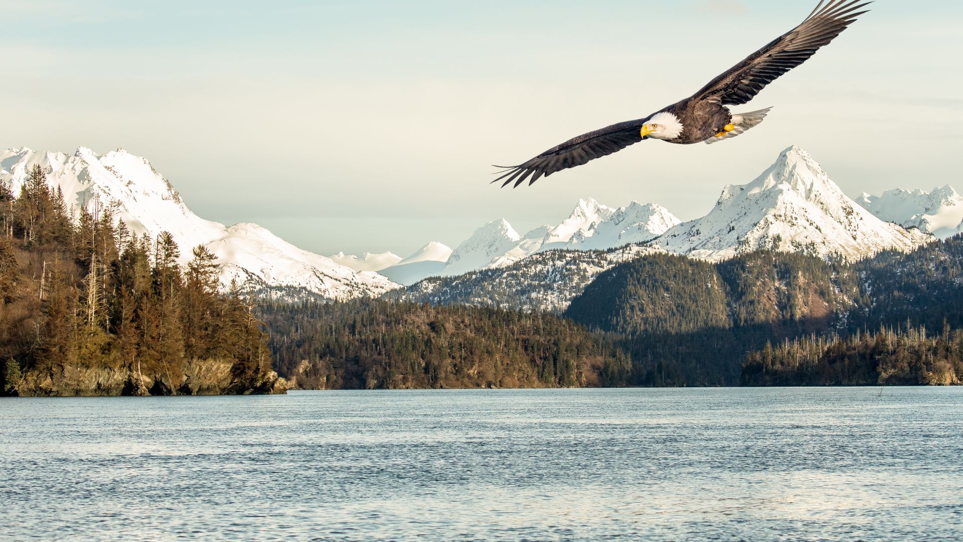 eagle, mountains, lake, 5k (horizontal)