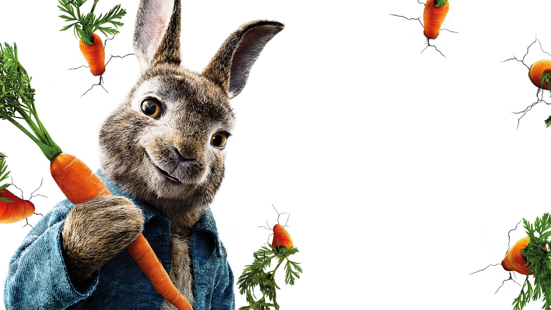 Peter Rabbit, 5k (horizontal)