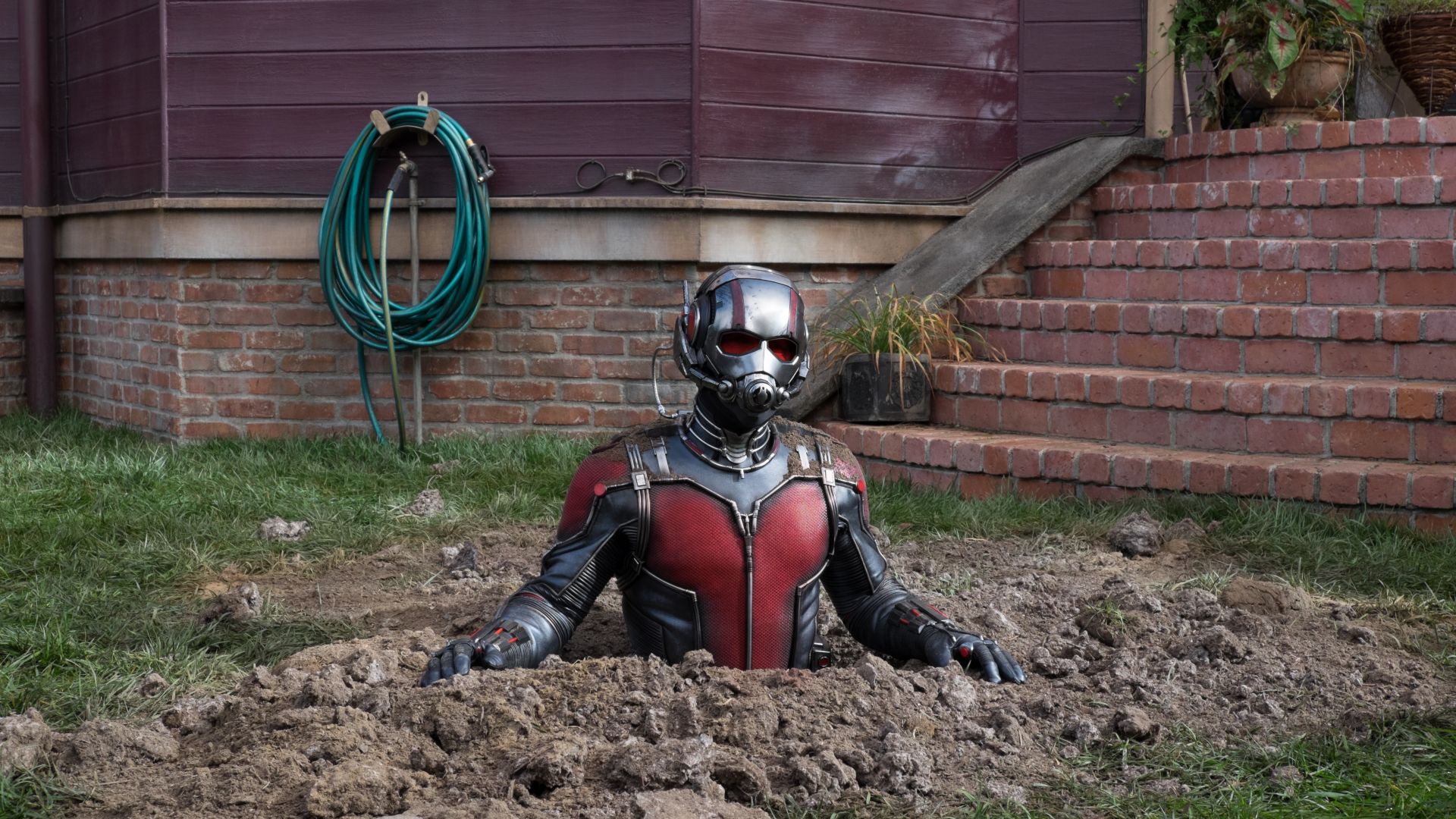 Ant-Man and the Wasp, Paul Rudd, 4k (horizontal)