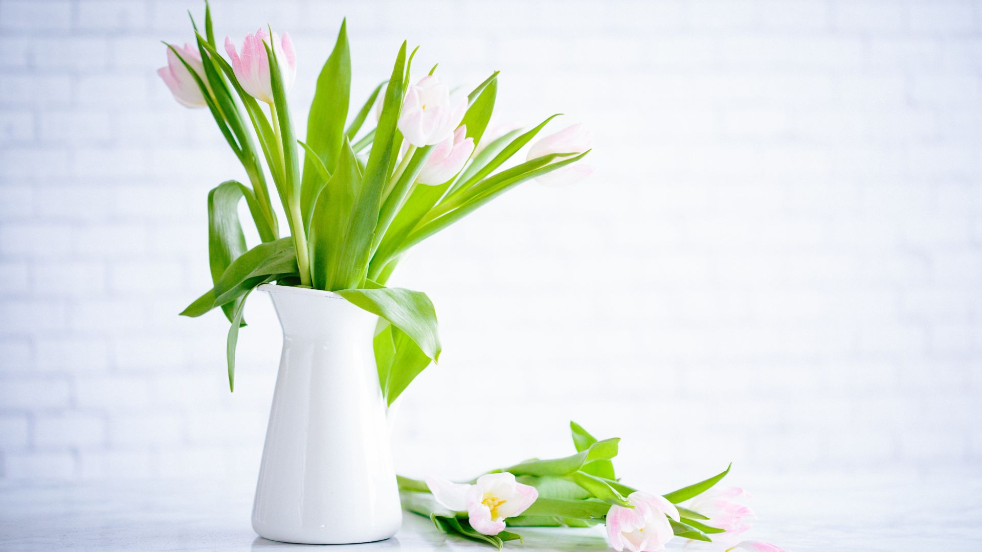 flowers, tulips, vase, 5k (horizontal)