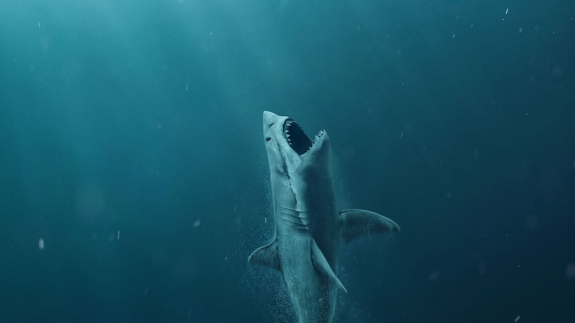 The Meg, shark, 4k (horizontal)