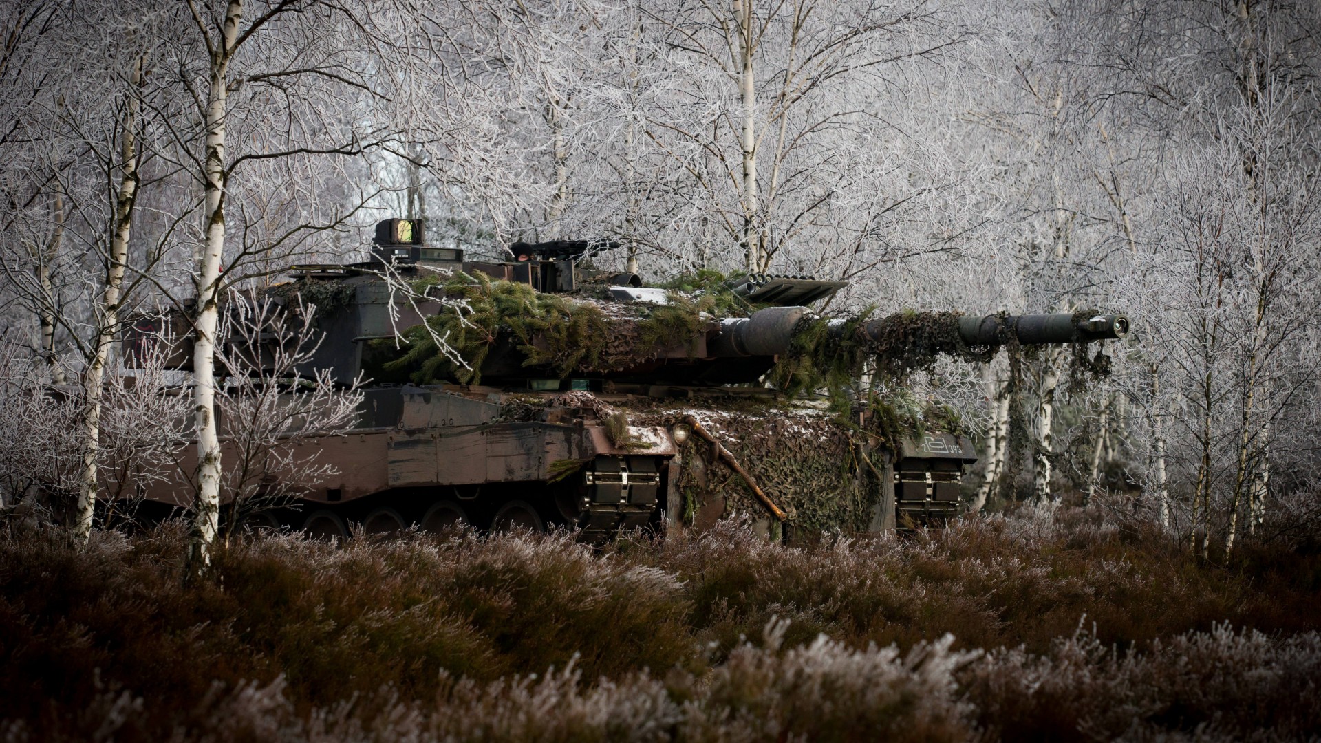 Leopard 2, 2a6m, Can, MBT, tank, German, forest, Bundeswehr, camo, winter (horizontal)