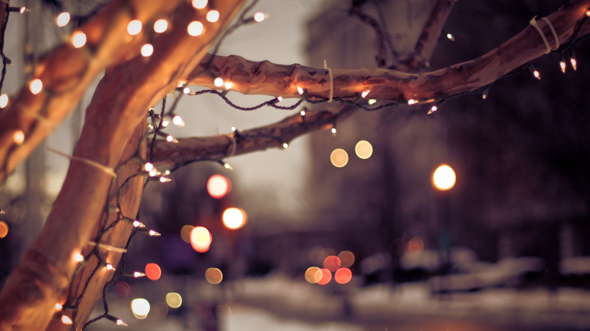 tree, lights, winter, 4K (horizontal)