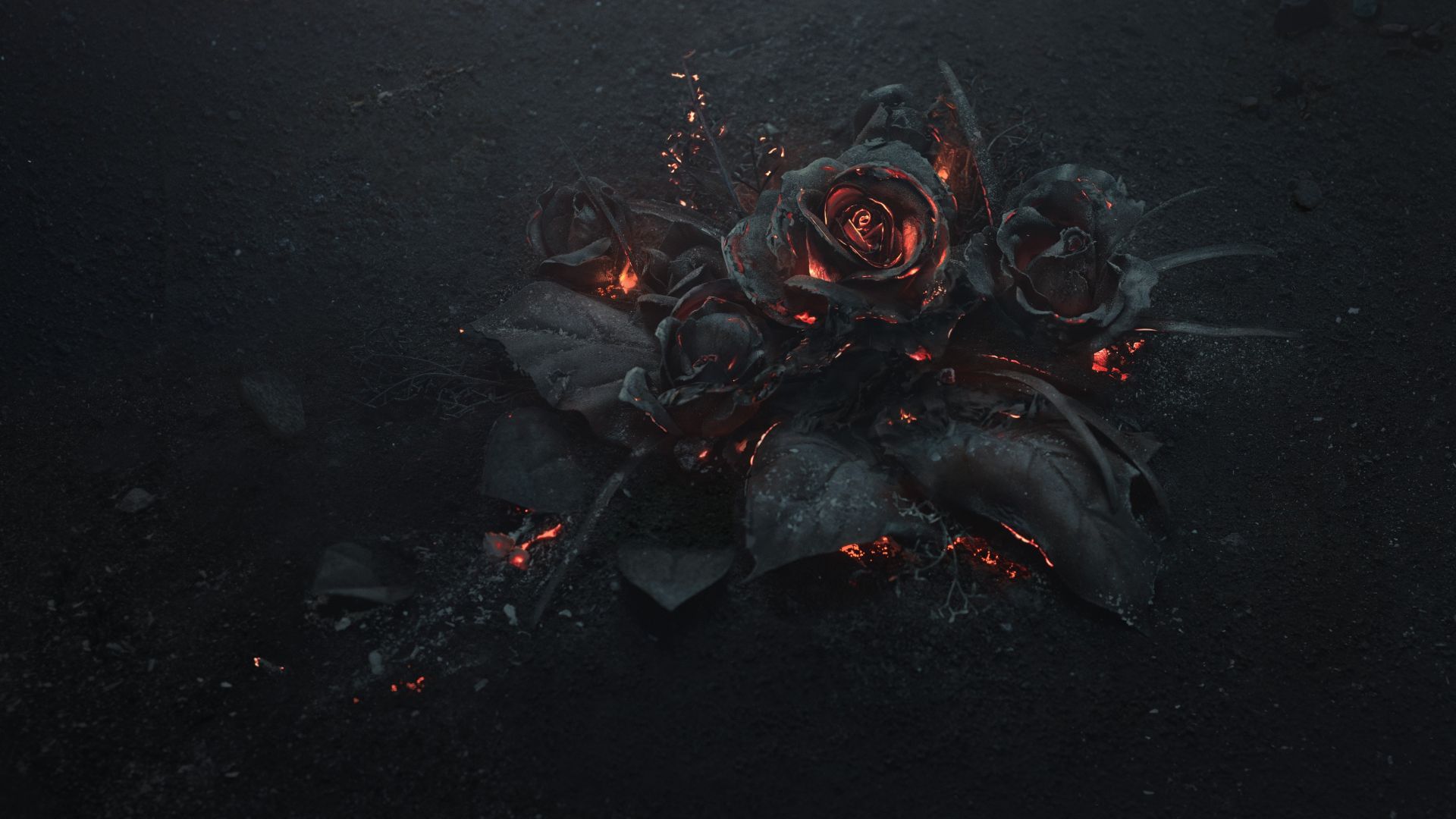 rose, dark, 5K (horizontal)
