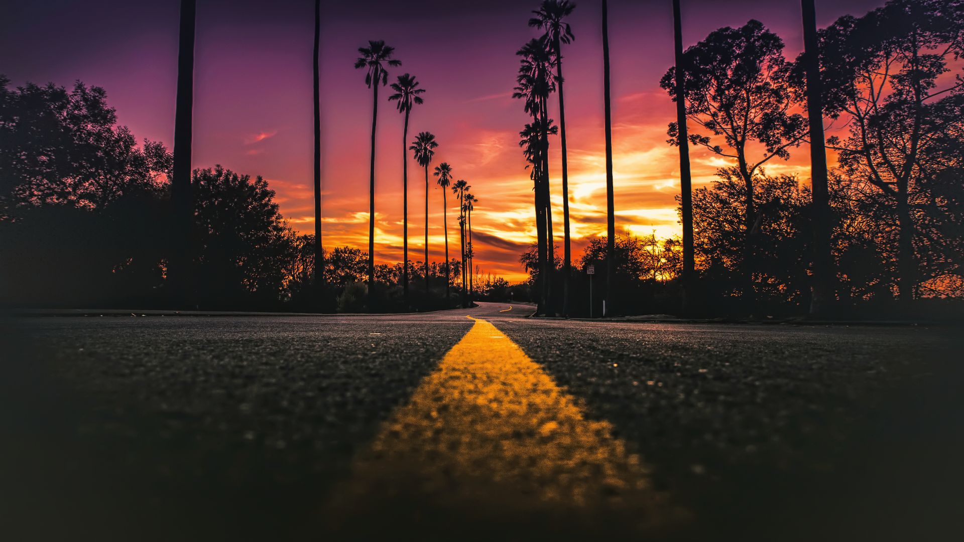 Los Angeles, California, road, palms, sunset, 4K (horizontal)