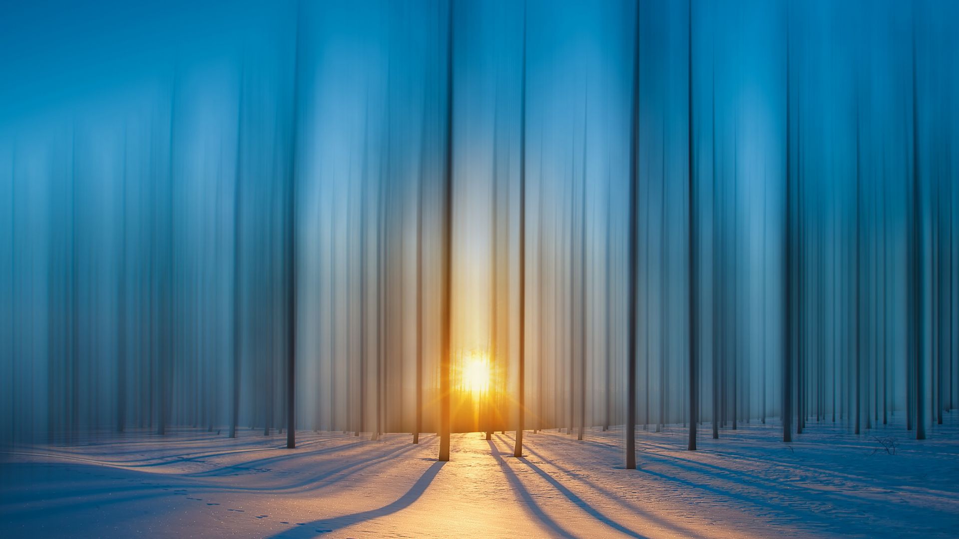 forest, snow, sunset, HD (horizontal)