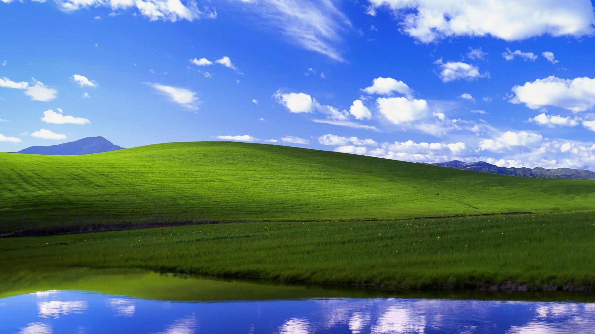bliss, Windows XP, Microsoft, 4K (horizontal)