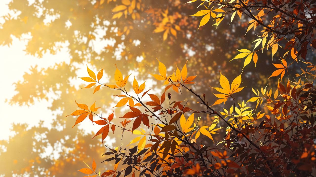 autumn scenery wallpaper, seasonal change, scenic landscapes, background for desktop wallpaper (horizontal)