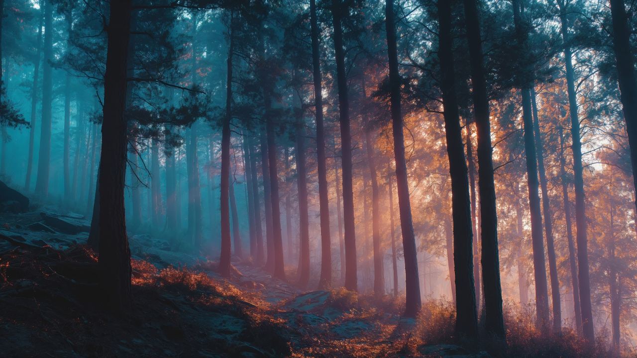 natural wonder wallpaper, mystical grove, nature wonderland, background for desktop wallpaper (horizontal)