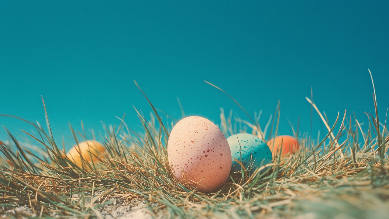 holiday crafts wallpaper, creative projects, easter eggs, background for desktop wallpaper (horizontal)