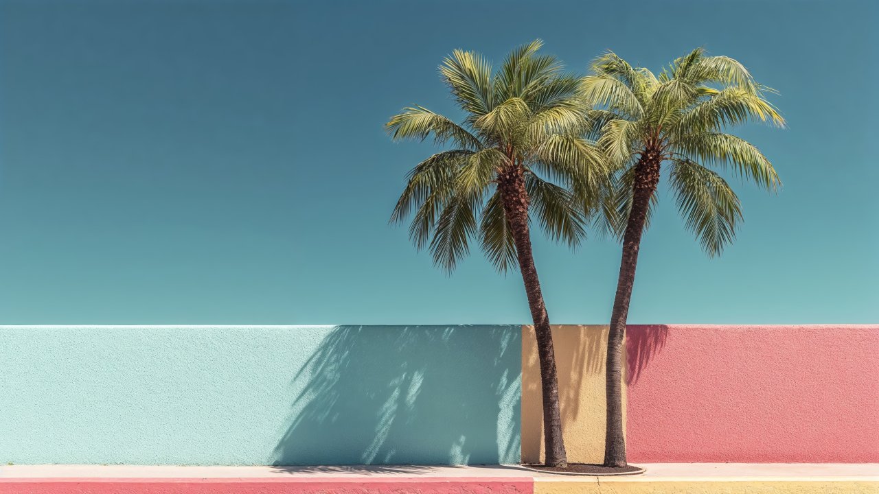 vacation destination wallpaper, palm tree landscape, breeze, background for desktop wallpaper (horizontal)