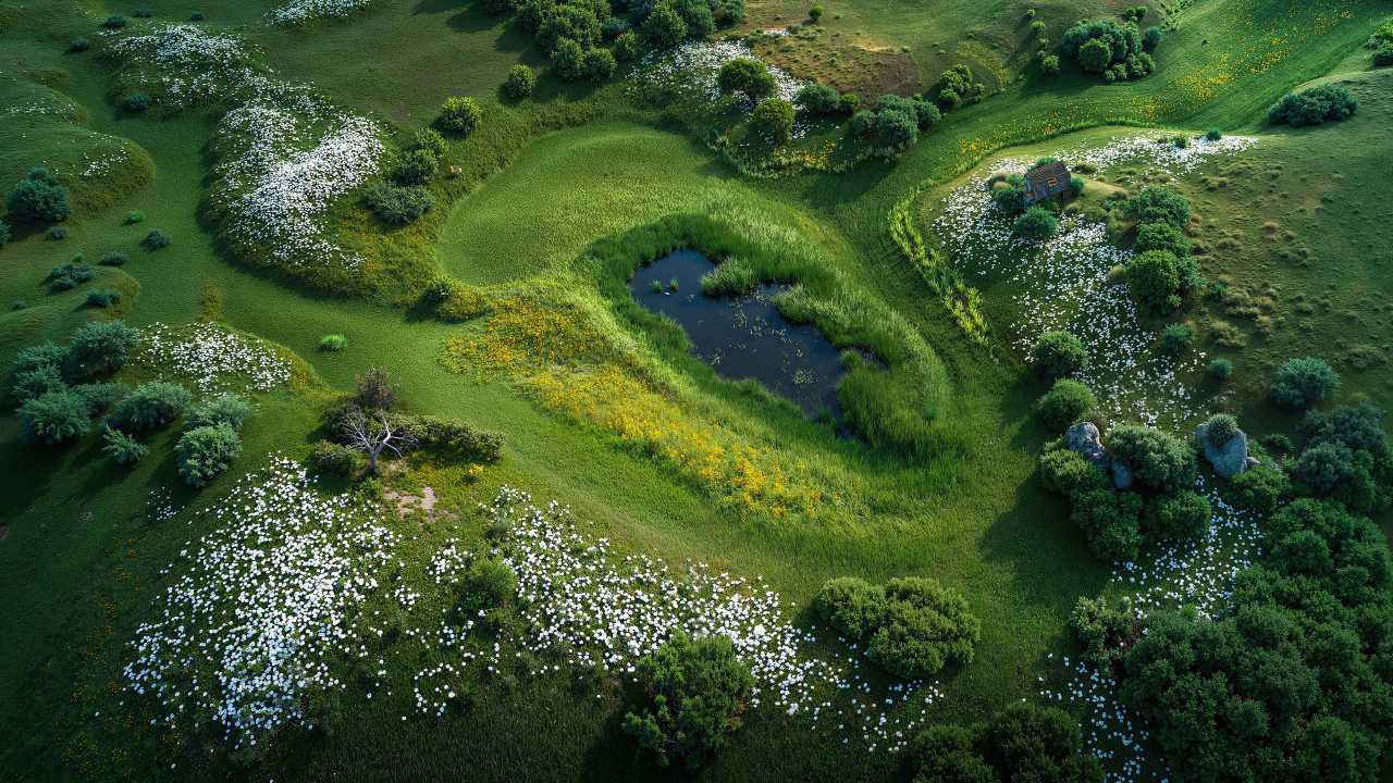 nature awakening wallpaper, green growth, sunny, background for desktop wallpaper (horizontal)